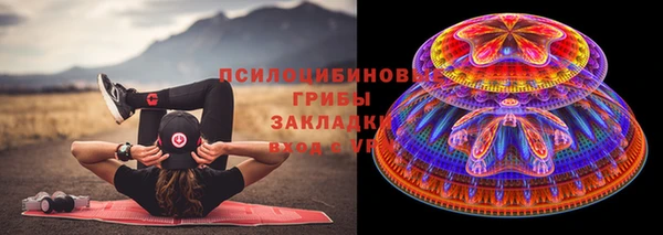 прущий лед Краснослободск