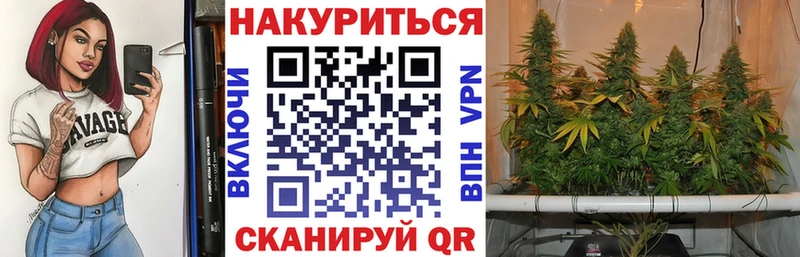 Бошки Шишки сатива  Купить где  Брянск 